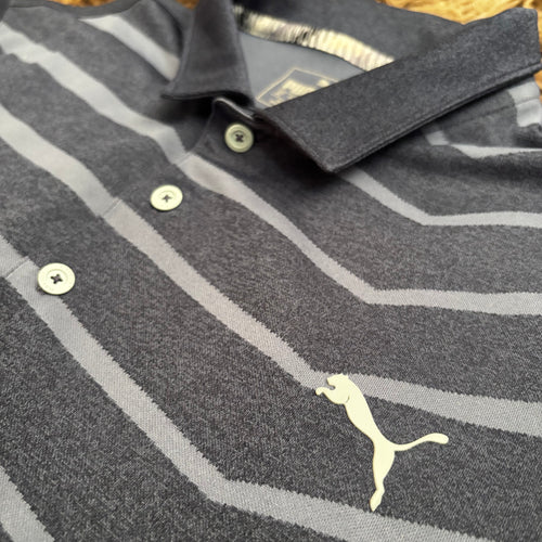 Polo Puma